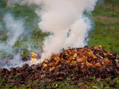 Таганрожцам напомнили о запрете сжигания мусора и листьев