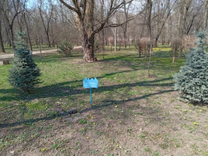 Акция «Сад памяти» пройдет в парке 300-летия Таганрога