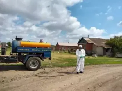 Под Таганрогом ввели карантин из-за вспышки птичьего гриппа