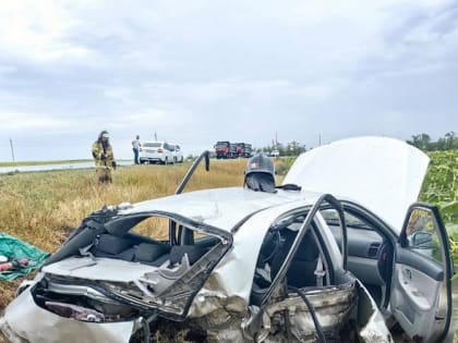 Под Таганрогом погибли два человека