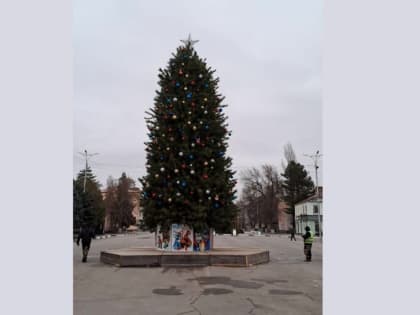 Завершилась установка главной городской ёлки Сальска на площади Ленина