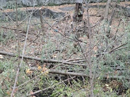 Неэффективность муниципальных служб в Камбициевке