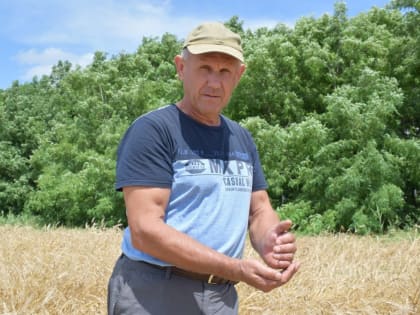 С началом страды, труженик: в ООО «Белозерное» стартовала уборочная кампания