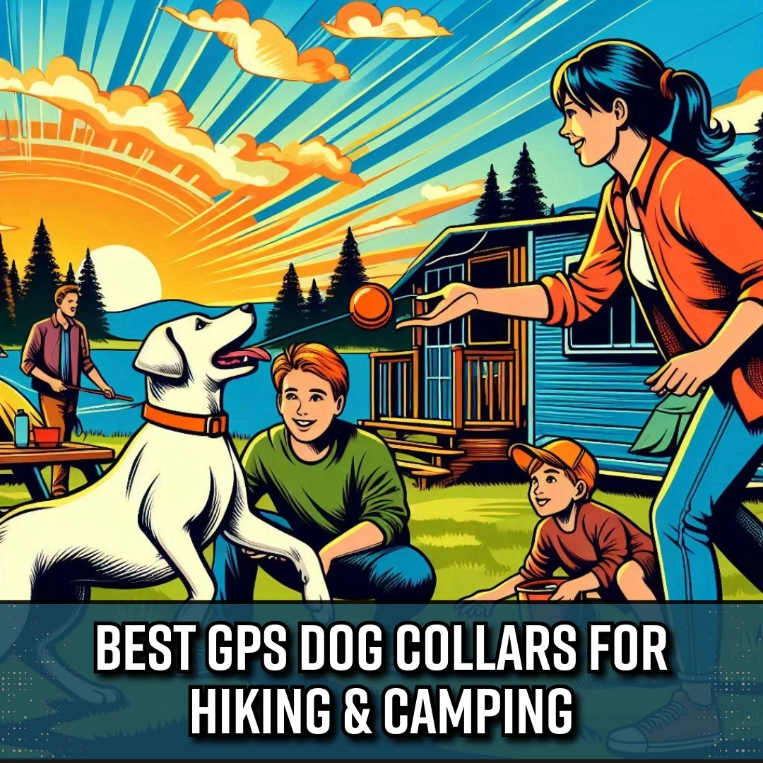 The 3 Best GPS Dog Collars For Hiking And Camping (2025 Update)