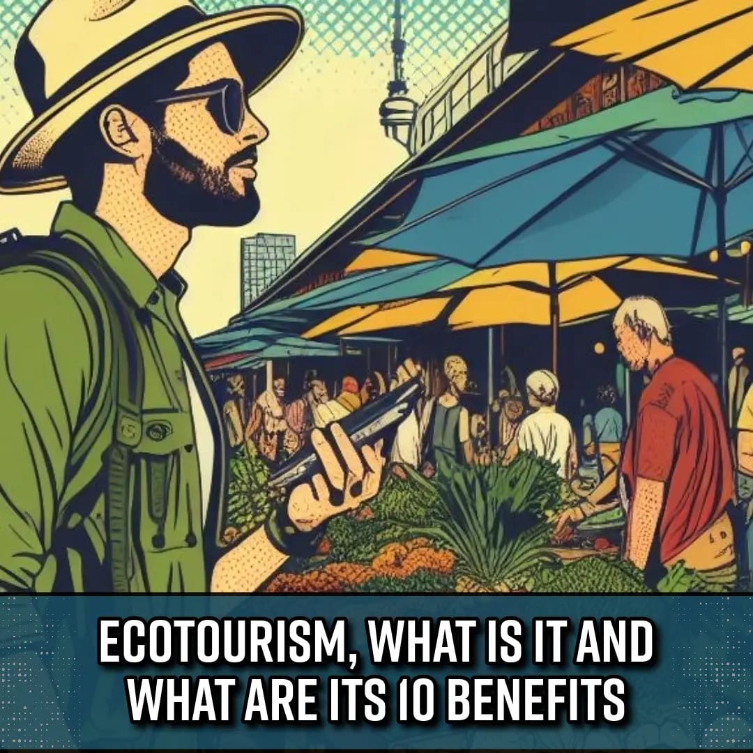 eco tourism means