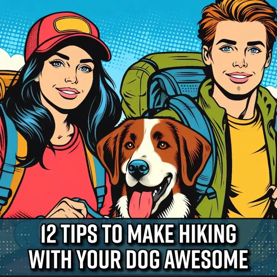 12 Tips To Make Hiking With Your Dog Awesome