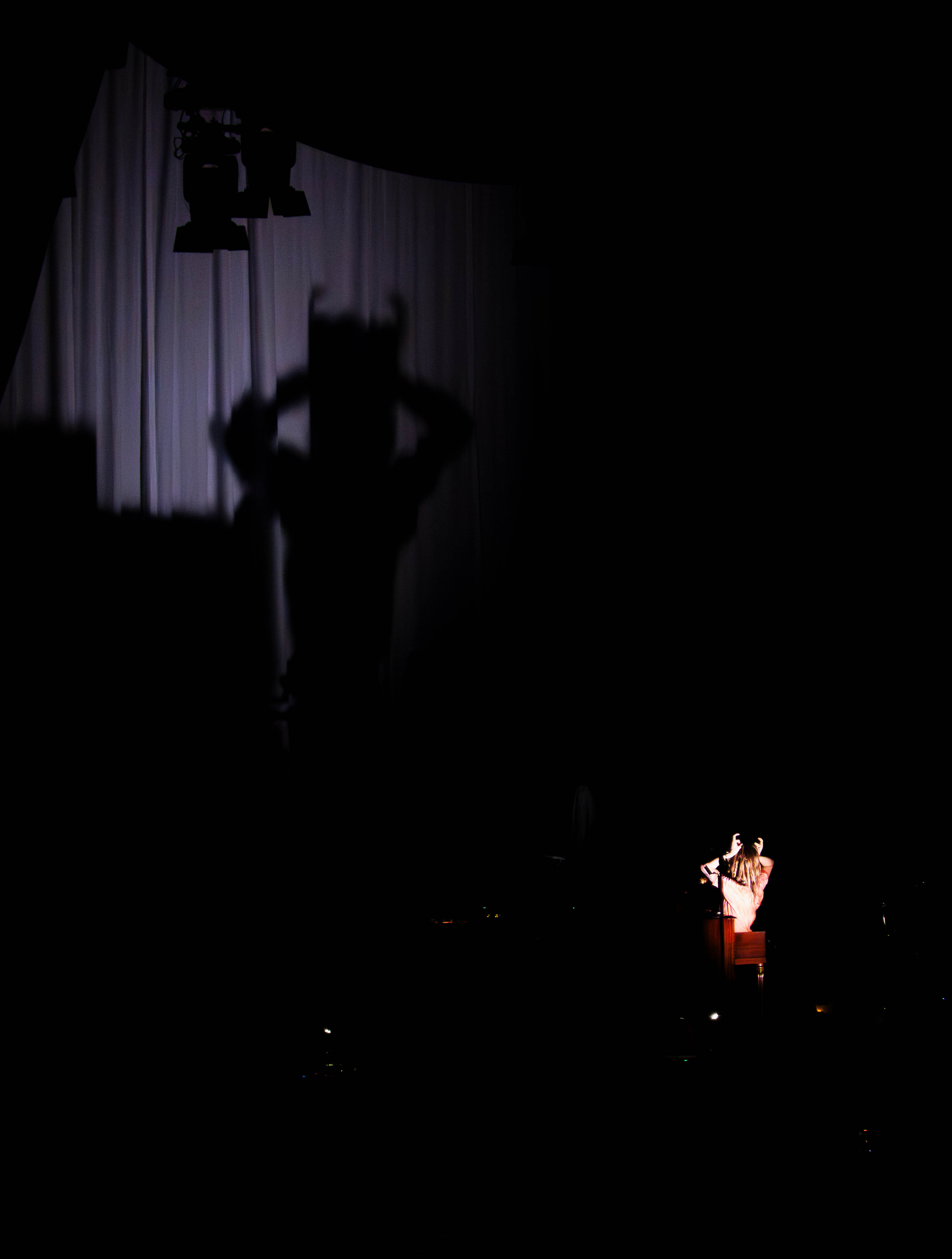 The Hayley Williams Show