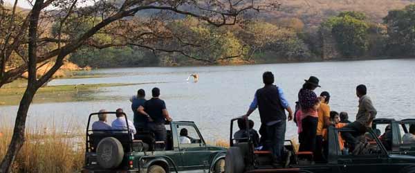 <p>Gajner Wildlife Sanctuary</p>
