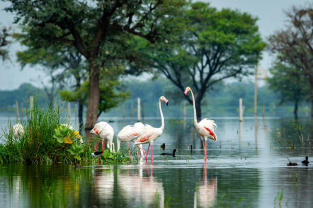 Jhalawar and Kota Heritage Escape
