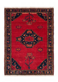 Hamadan Medallion Crimson
