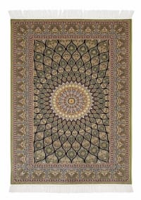 Qom Gonbad Olive