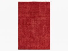 Indian Plain Crimson