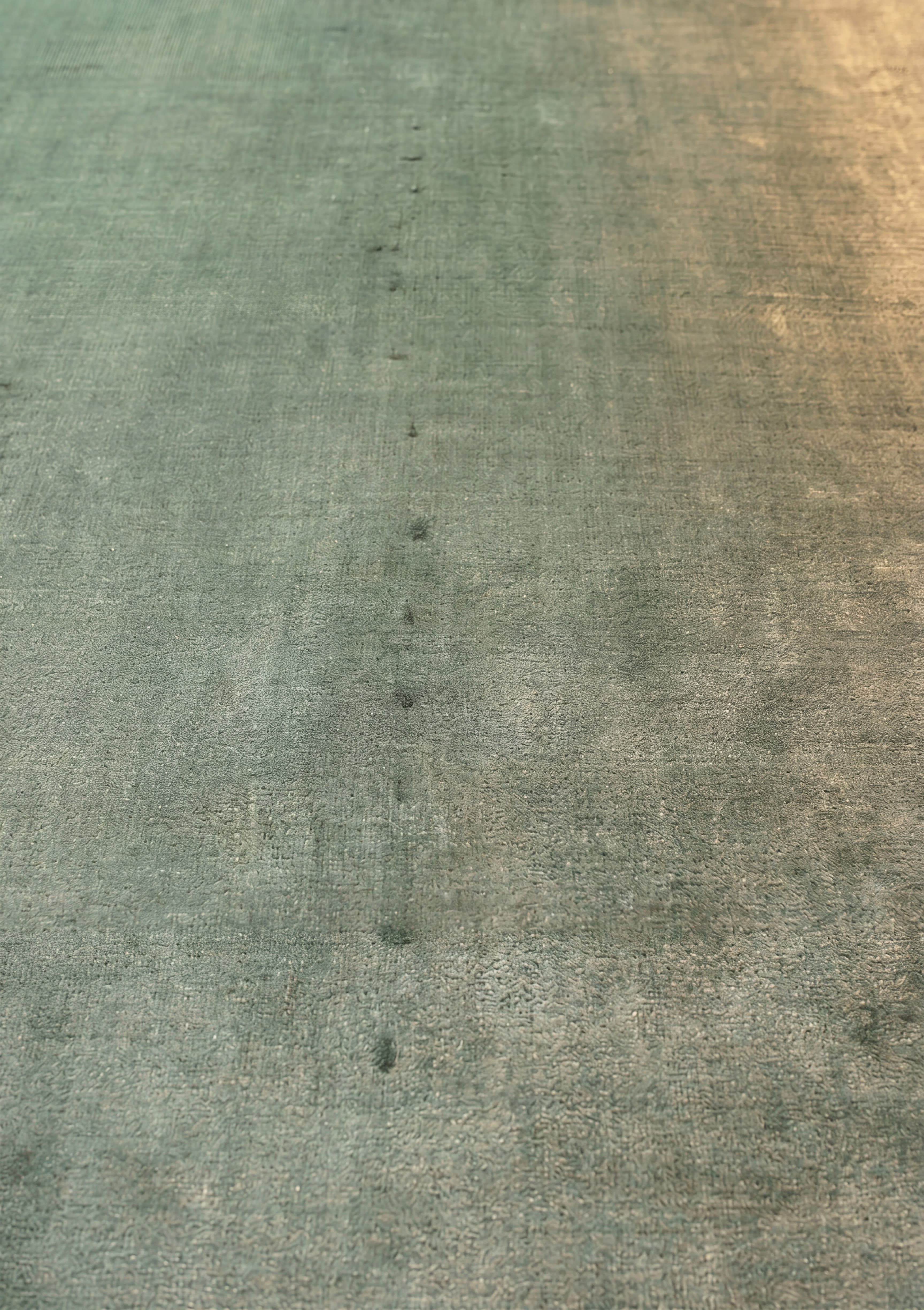 Nepal Solid Sage, Kathmandu, Nepal modern rug, in sage green, Pure Silk, 213x305 cm, Nasim Carpets Malaysia — view 3