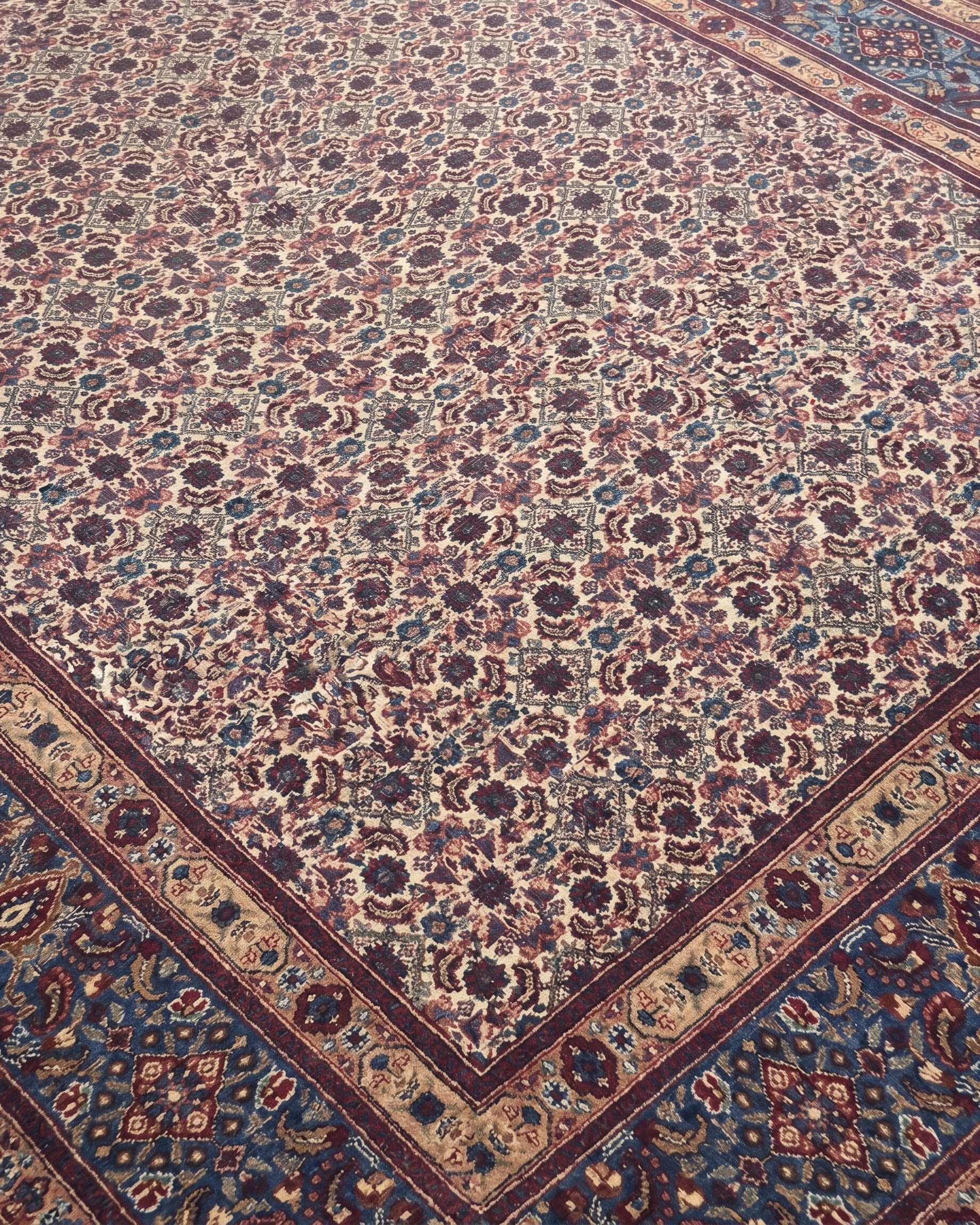 Bijar All-Over Ivory, Bijar, Iran persian rug, in ivory, Wool, 207x302, Nasim Carpets Malaysia — view 3