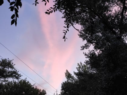 Неожиданные изменения погоды в Ростове-на-Дону