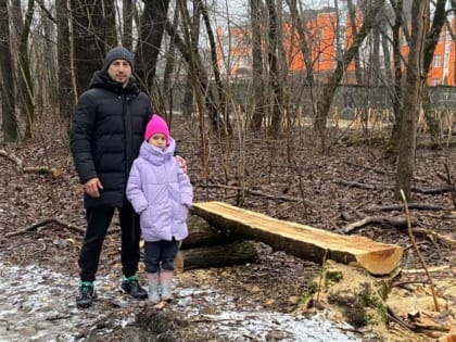 В Новочеркасске в роще Красная Весна появились 60 экоскамеек