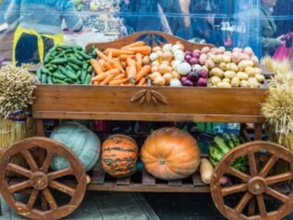 Объявление для жителей Семикаракорска