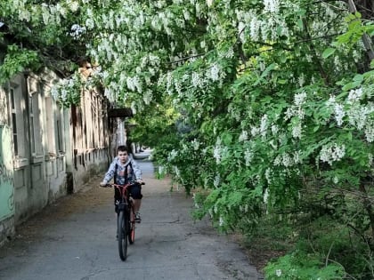 Погода в Таганроге 19 мая: теплое воскресенье без осадков и сильного ветра