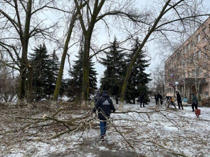  Студенты ВИТИ НИЯУ МИФИ приняли участие в ликвидации последствий циклона «Ольга»