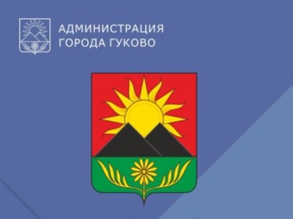 Годовой отчет главы администрации Гуково о деятельности местного самоуправления