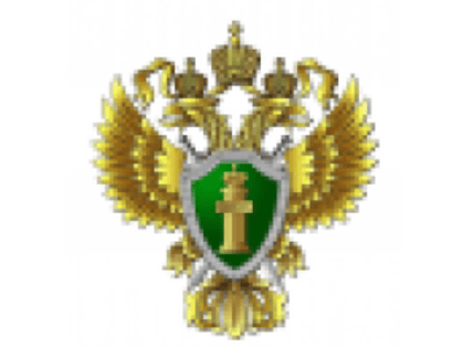 Получение технических средств реабилитации: важные шаги