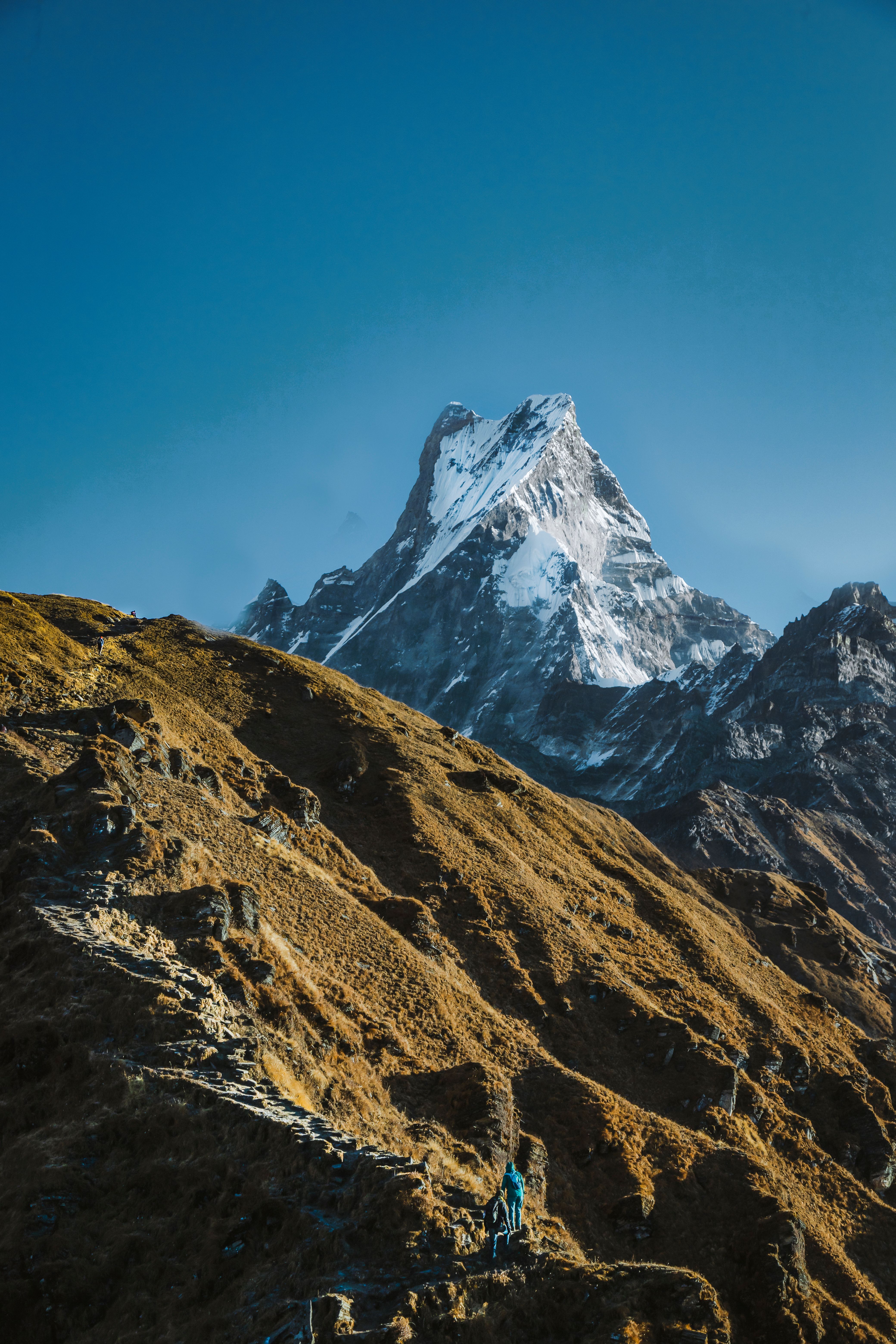 Mardi Himal Trek - Nepal travel with certified guides