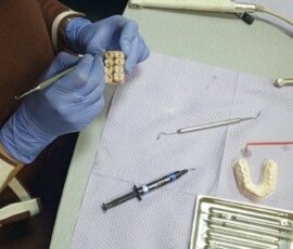 praktichniy seminar modelyuvannya restavracij kyiv jendental (17)