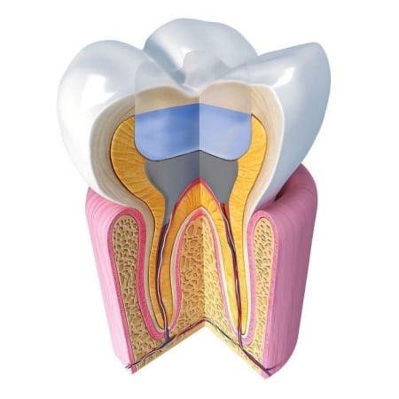 imgi_33_jen-radiance-molar=all=-700×700