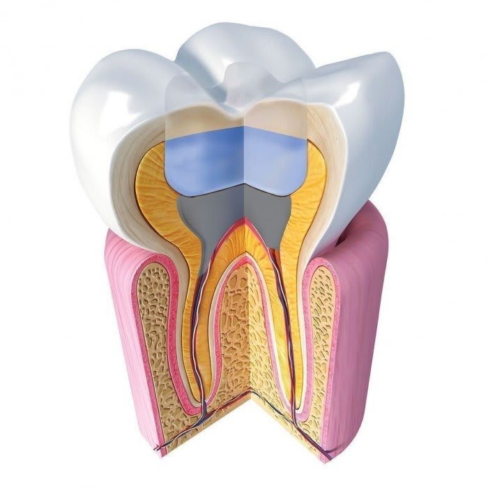 Jen-Radiance Molar (Джен-Радіанс Моляр), шпр.4г - Балк-філл композит, пакуємий (Джендентал-Україна)