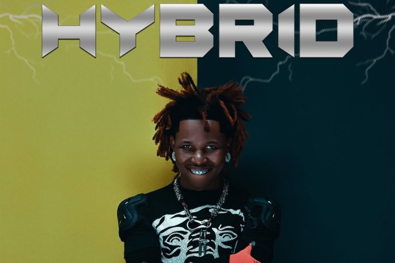 shoday-hybrid-cover