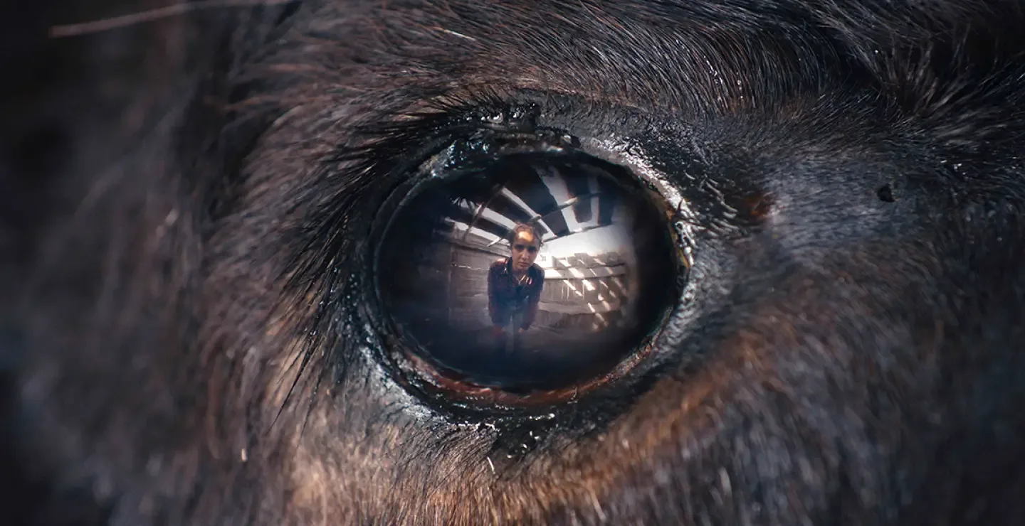 Imagen de la película Animale