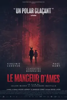 Poster de la película Las desapariciones