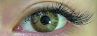 Innova Look Naturaleza Magnífica desierto brown ojo