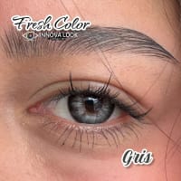 Fresh Color gris 4
