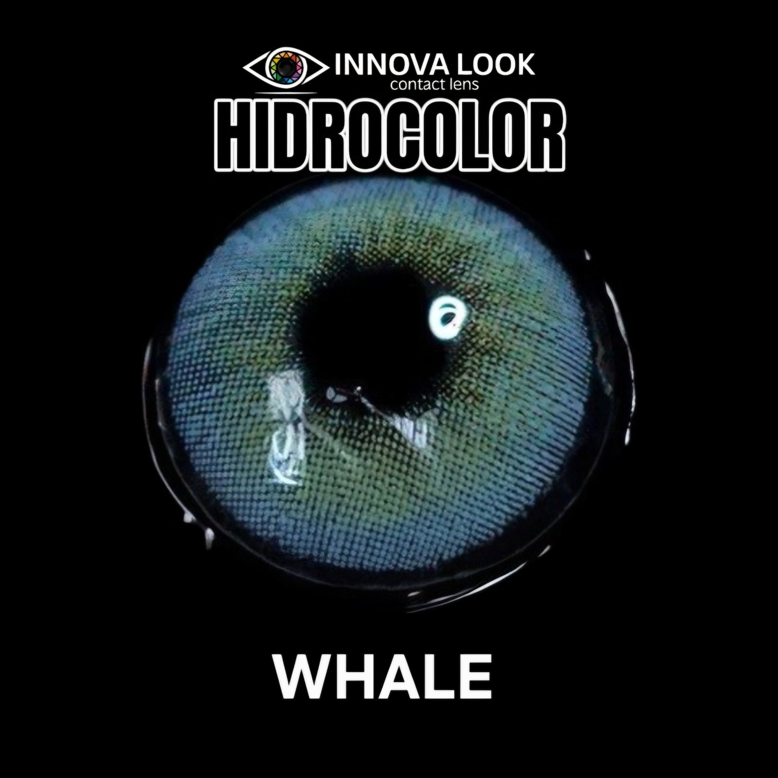 Hidrocolor whale — lente macro