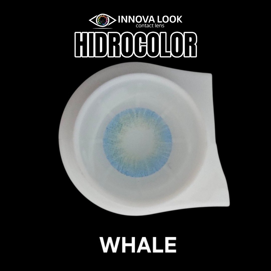 Hidrocolor whale — estuche