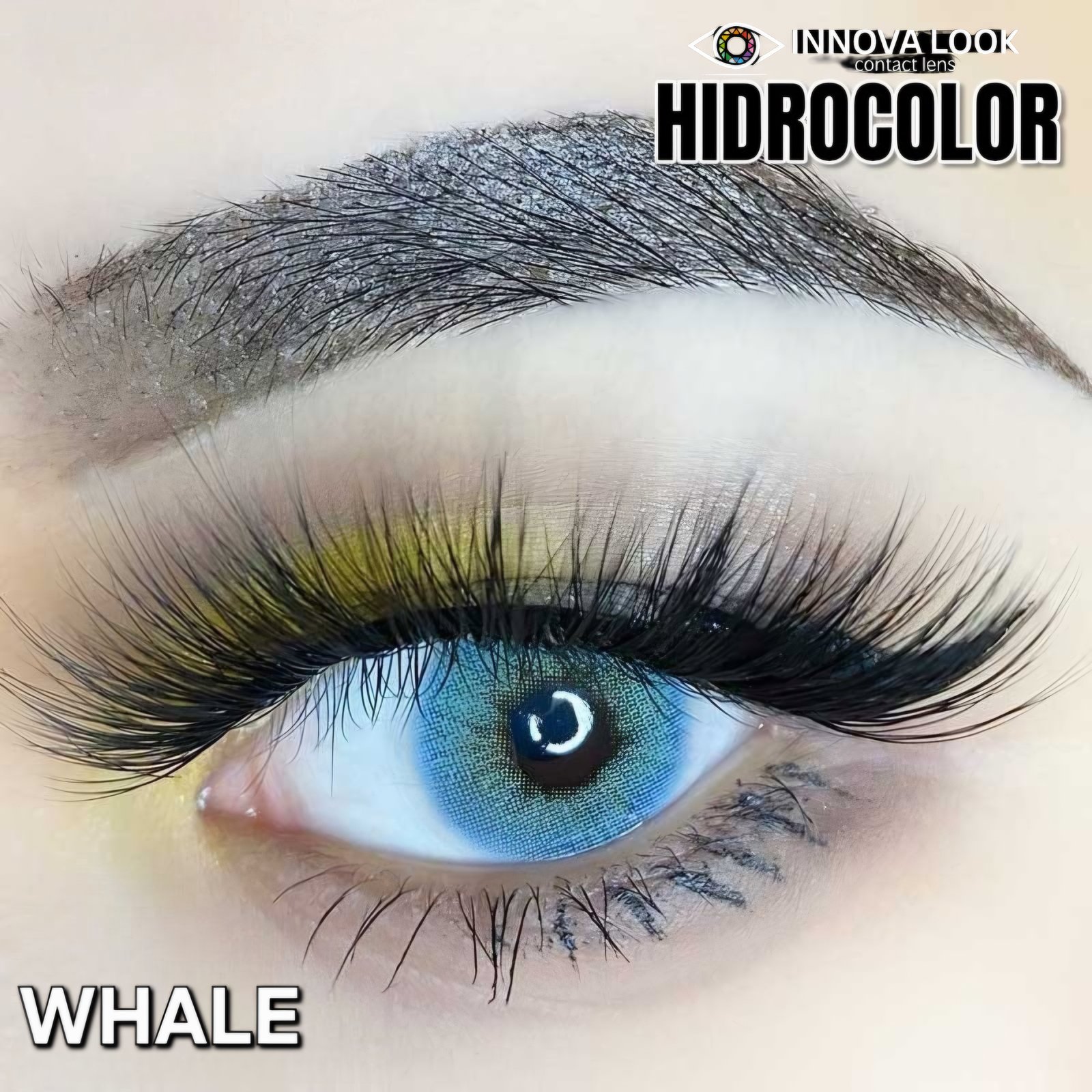 Hidrocolor whale — ojo modelo