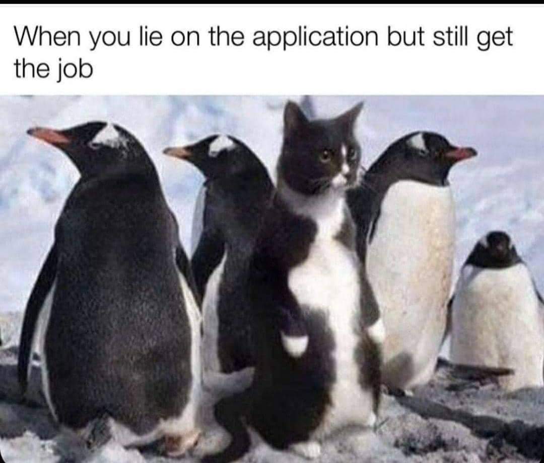 Enjoy this shared meme on HappyTimes, then discover more funny photos and videos.
