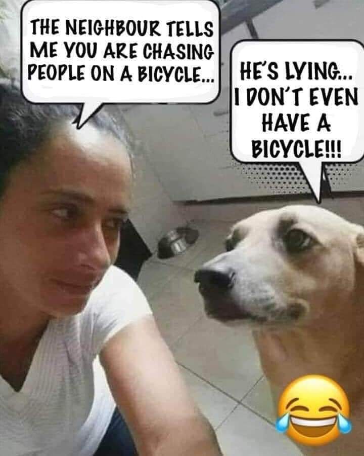 Enjoy this shared meme on HappyTimes, then discover more funny photos and videos.