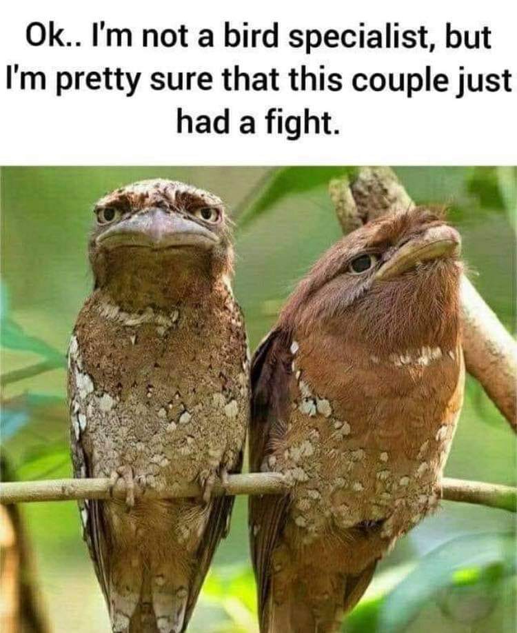 Enjoy this shared meme on HappyTimes, then discover more funny photos and videos.