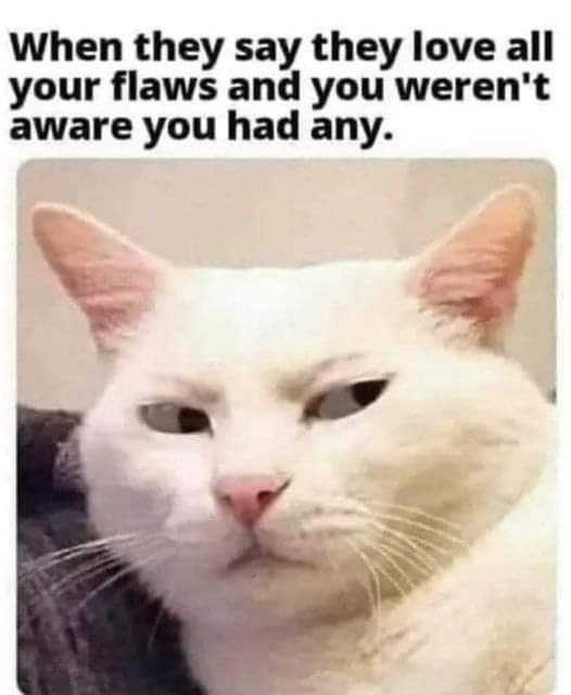 Enjoy this shared meme on HappyTimes, then discover more funny photos and videos.