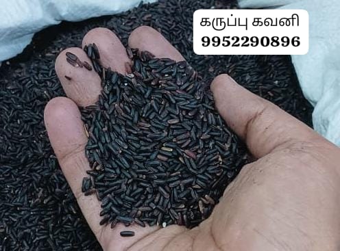 கருப்பு கவுனி அரிசி