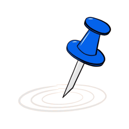 Needle