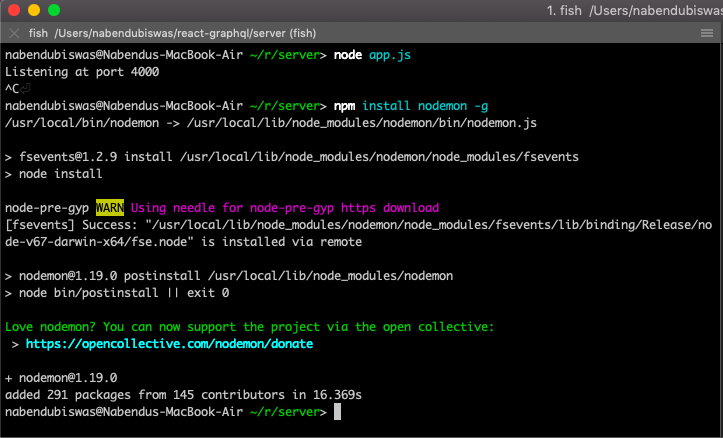 install nodemon