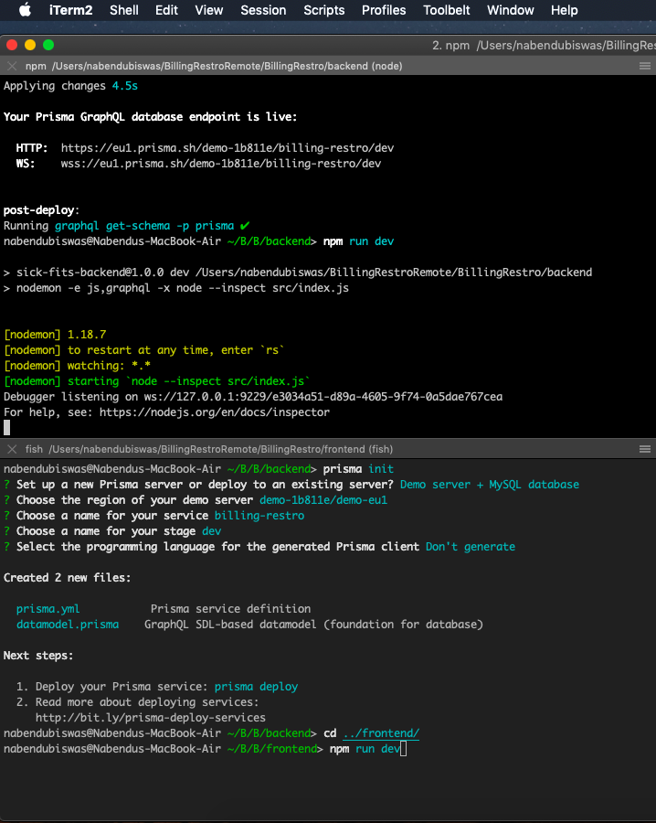 npm run dev