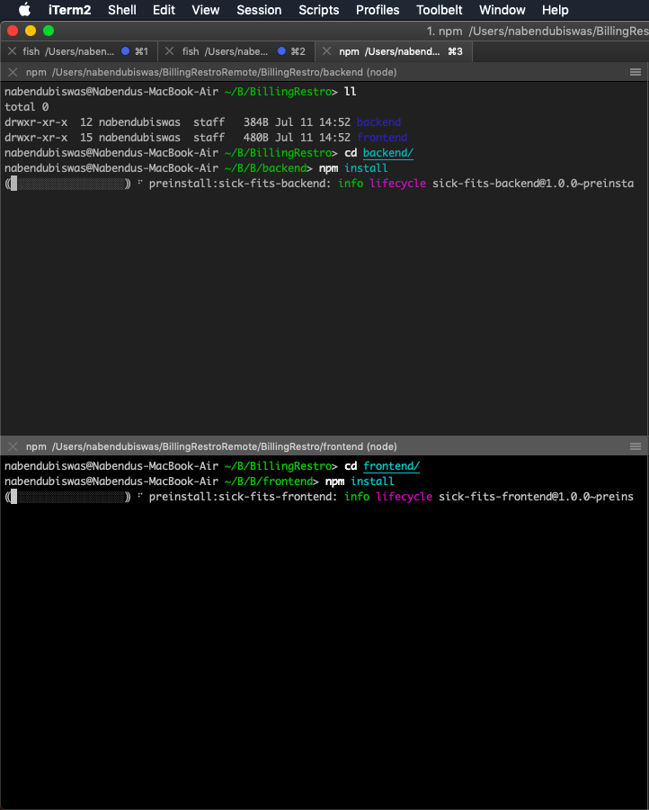 npm install