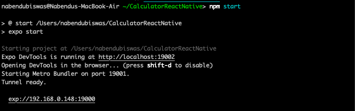 npm start