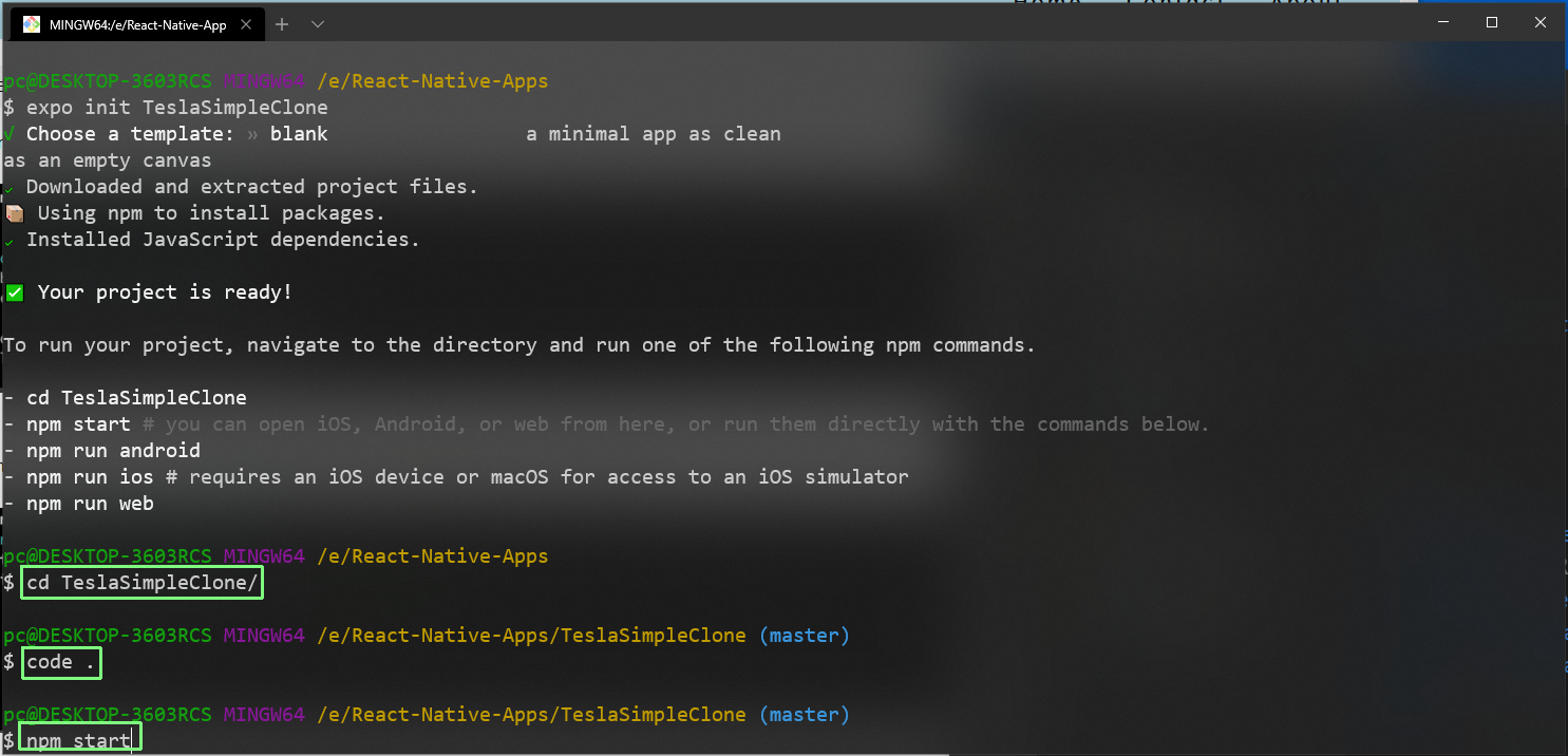 npm start