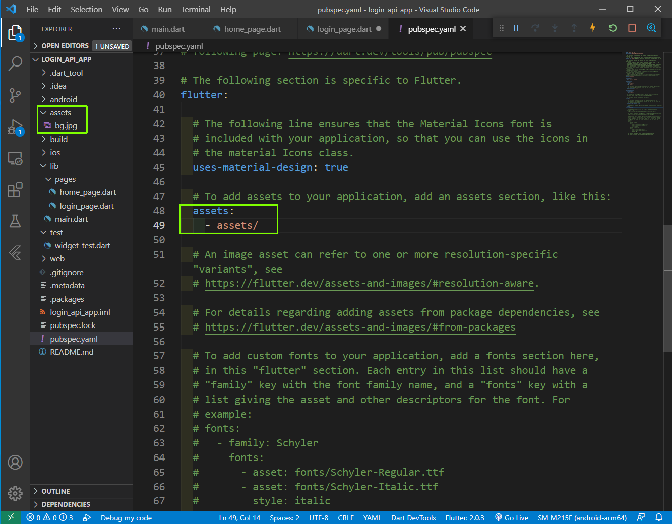 pubspec.yaml