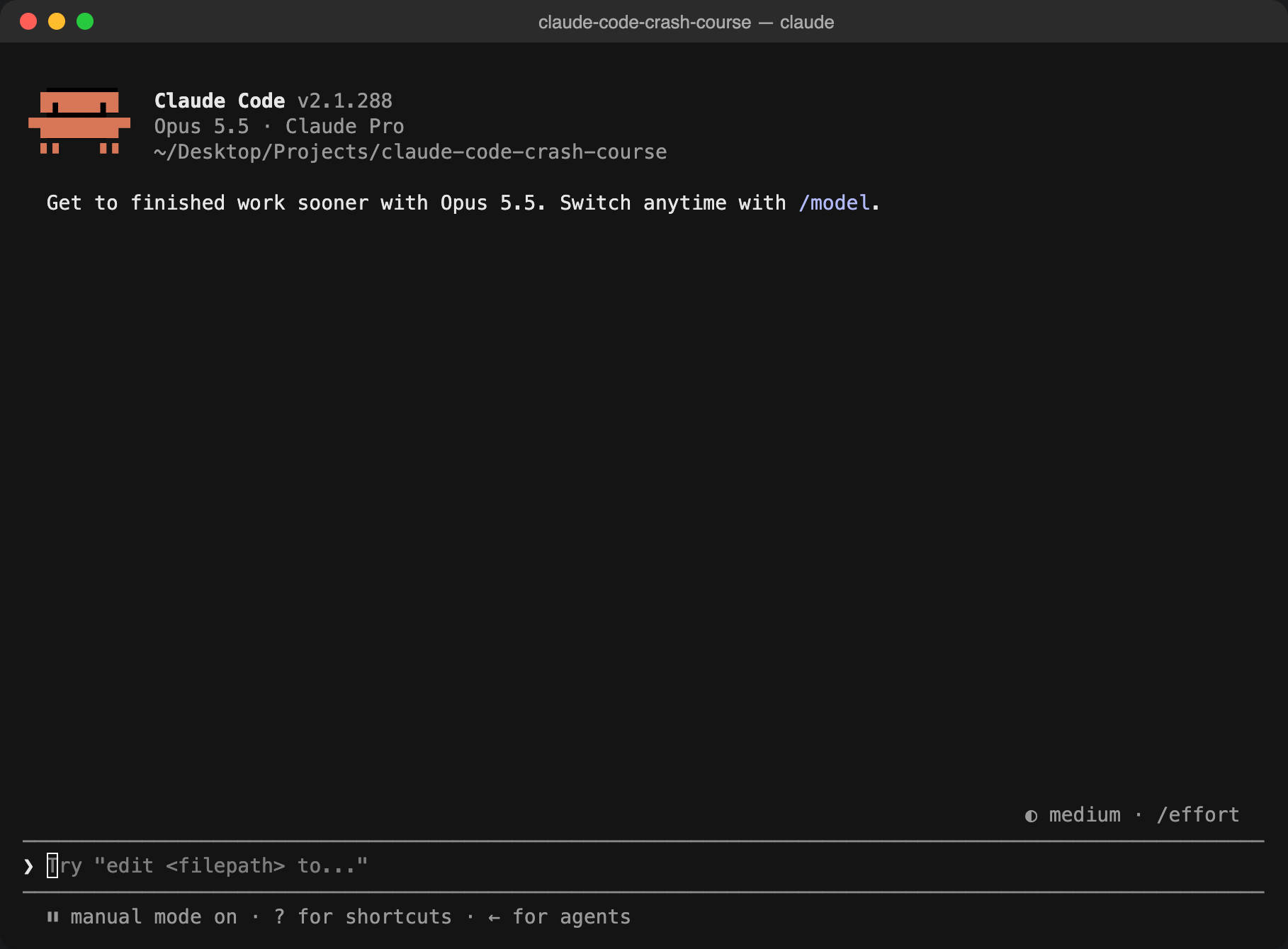 The Claude Code welcome screen with the prompt box